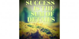Success is the sum of efforts and details