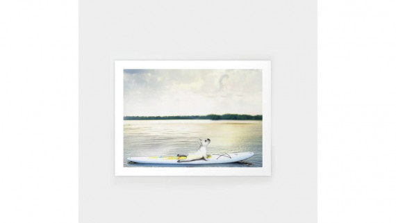 Yoga Dog. Paddle Board, Art Print, Revolution Australia, Aussie gift