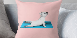 Yoga Dog Blue Mat Throwpillow big