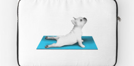 Yoga Dog, Yoga, Blue Mat, Cute Dog, French Bulldog, Laptop Sleeve, Revolution Australia, Cute Print, Minimalist, Fur Baby