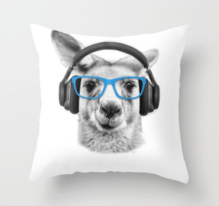 Kangaroo, funny kangaroo, throw pillow, revolution Australia, Aussie design, TIPS podcast, Chester Elton, Australia animals, Australia wildlife